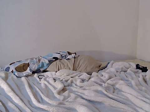 SlaveBunnyXxX nude on cam for live sex chat