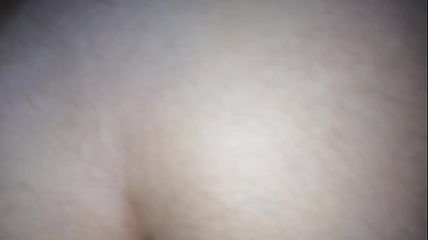 Peludita en cuatro
