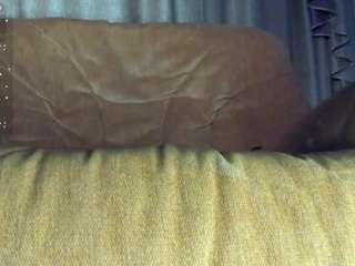 CelineReyys nude on Live Cam Sex Chat