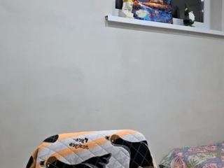AstridNowak nude on Live Cam Sex Chat