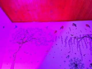 sofiiadiiaz nude on Live Cam Sex Chat